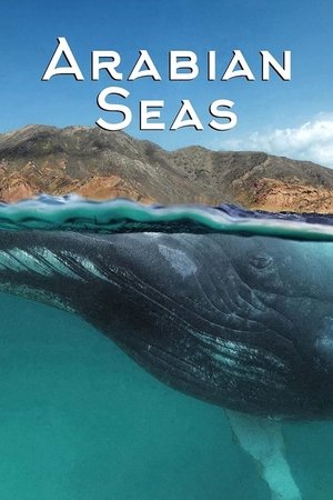 Capa de Os Mares da Arabia
