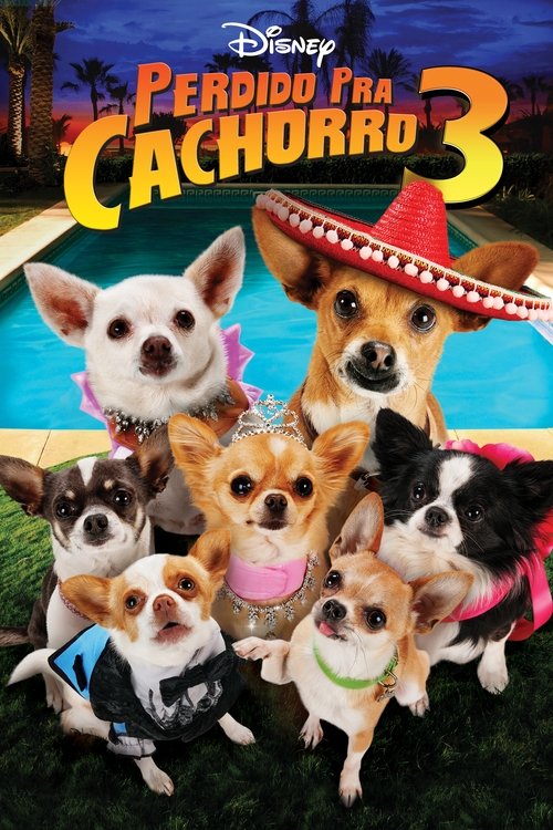 Capa de Perdido pra Cachorro 3