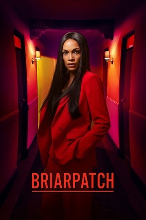 Capa de Briarpatch