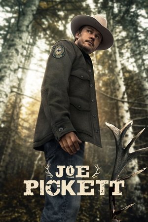 Capa de Joe Pickett