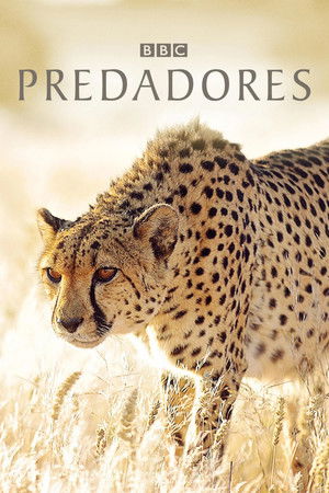 Capa de Predadores