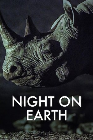 Capa de A Terra à Noite