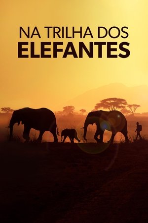 Capa de Na Trilha dos Elefantes
