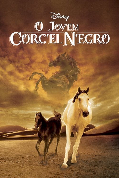 Capa de O Jovem Corcel Negro