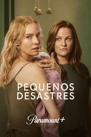 Capa de Pequenos Desastres