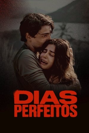 Capa de Dias Perfeitos