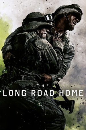 Capa de The Long Road Home