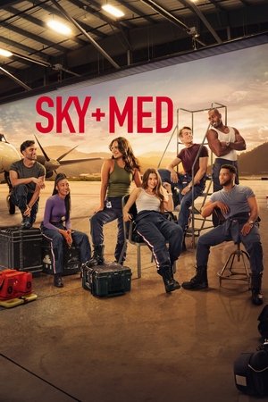 Capa de SkyMed