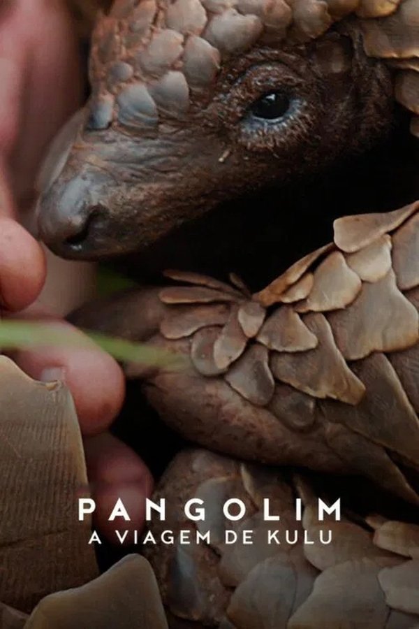 Capa de Pangolim: A Viagem de Kulu
