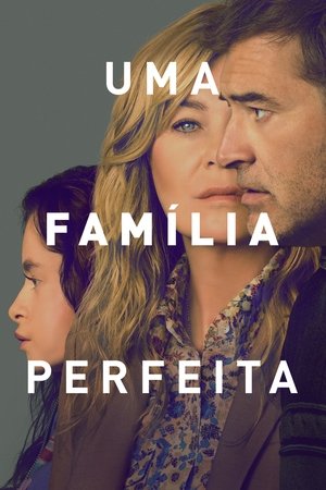 Capa de Uma Familia Perfeita
