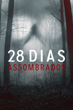 Capa de 28 Dias Assombrados