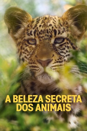 Capa de A Beleza Secreta dos Animais