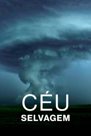 Capa de Ceu Selvagem