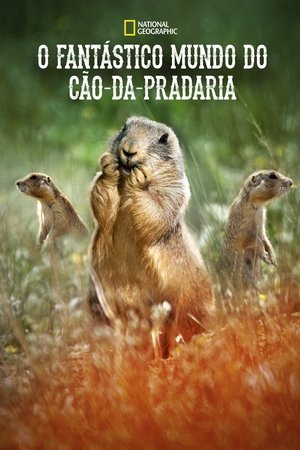Capa de O Fantastico Mundo do Cao da Pradaria