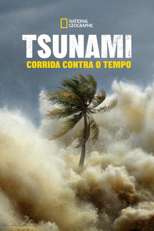 Capa de Tsunami Corrida Contra o Tempo