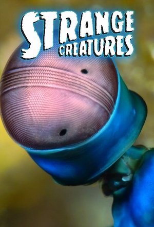 Capa de Criaturas Estranhas