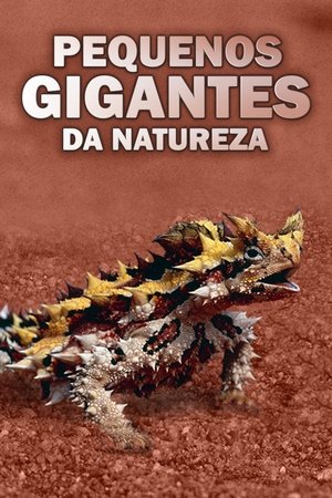 Capa de Pequenos Gigantes da Natureza