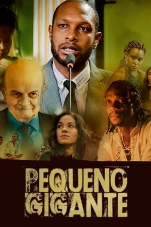 Capa de Pequeno Gigante