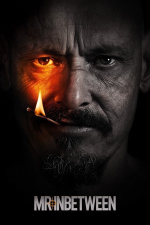 Capa de Mr Inbetween