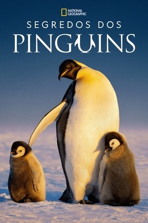 Capa de Segredos dos Pinguins