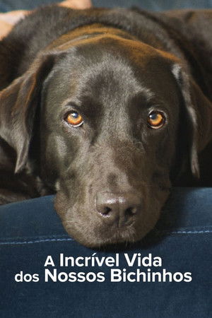Capa de A Incrível Vida dos Nossos Bichinhos