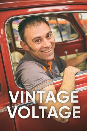Capa de Vintage Voltage
