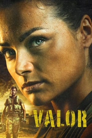 Capa de Valor