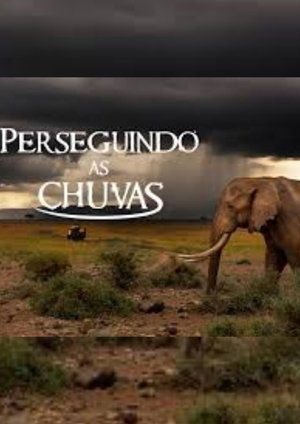 Capa de Perseguindo as Chuvas