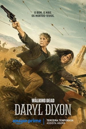 Capa de The Walking Dead Daryl Dixon