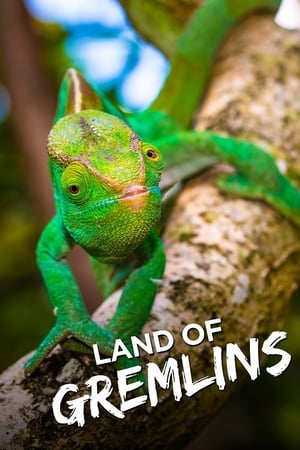 Capa de A Incrivel Madagascar