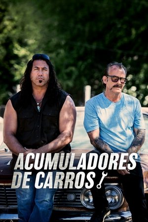 Capa de Acumuladores de Carros