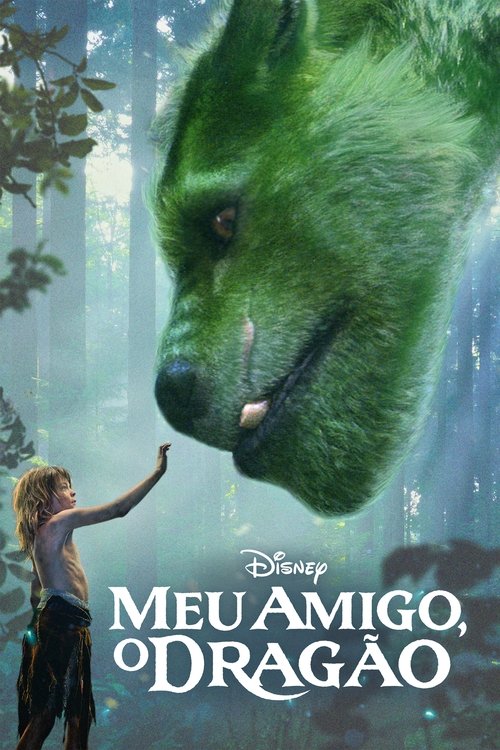 Capa de Meu Amigo, O Dragão