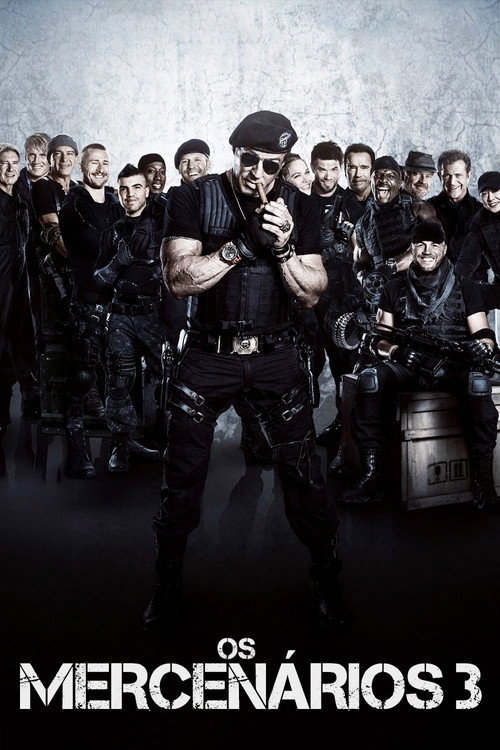 Capa de Os Mercenários 3