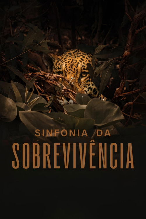 Capa de Sinfonia da Sobrevivência