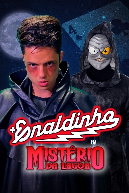 Capa de Enaldinho e o Mistério da Lagoa