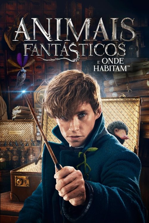 Capa de Animais Fantásticos e Onde Habitam 4k