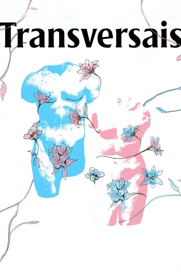 Capa de Transversais