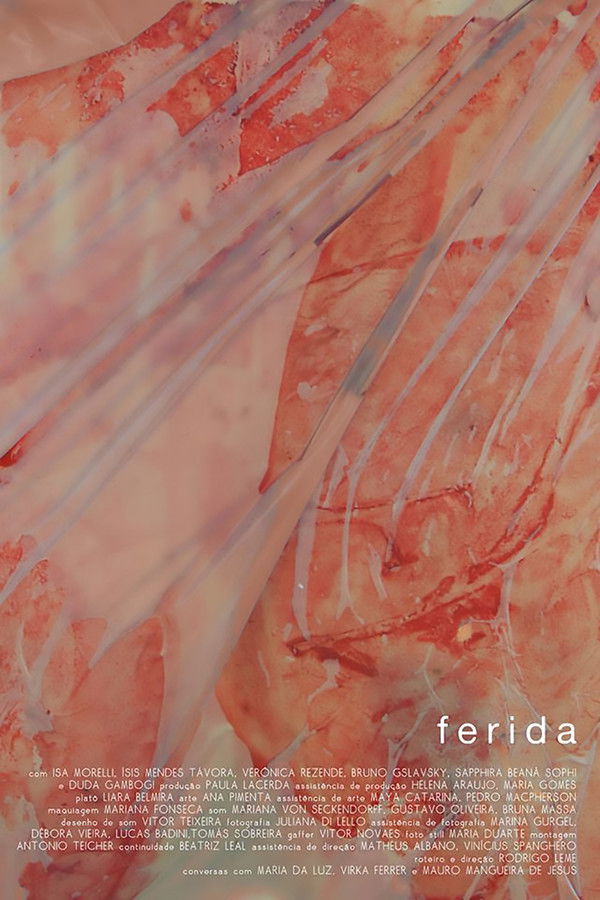 Capa de Ferida