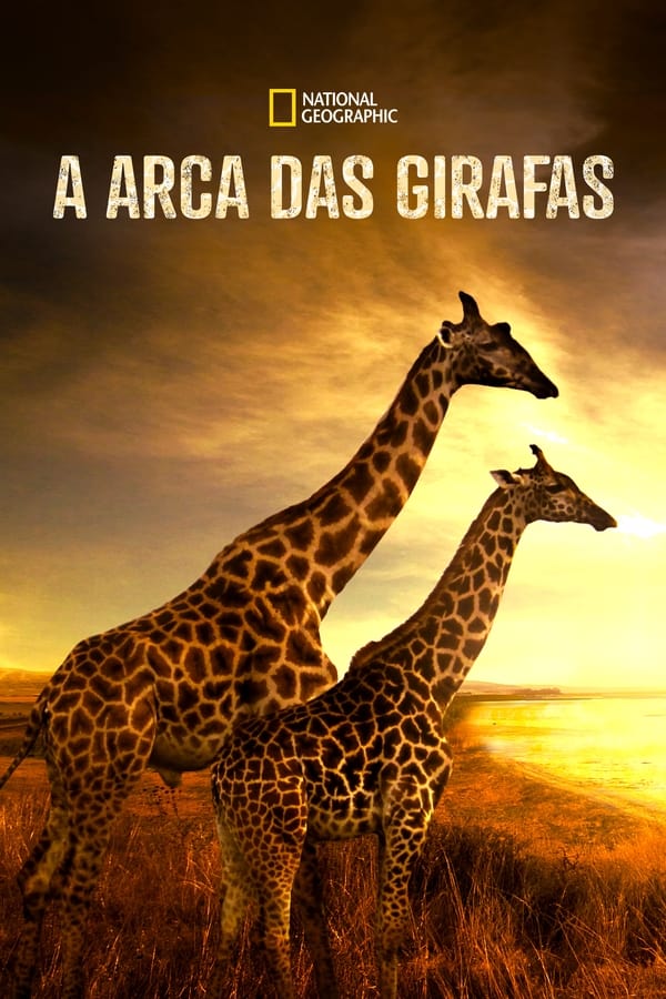 Capa de A Arca das Girafas
