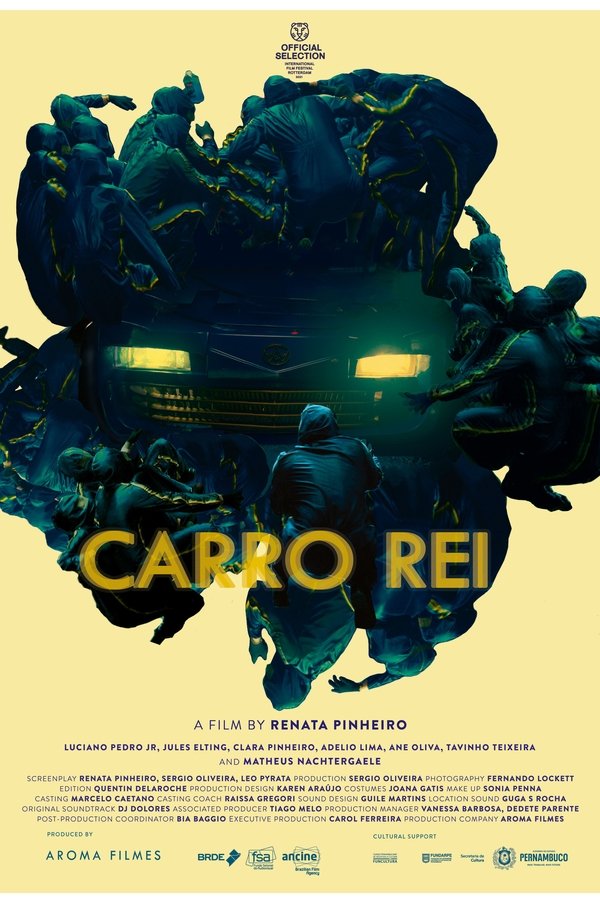 Capa de Carro Rei