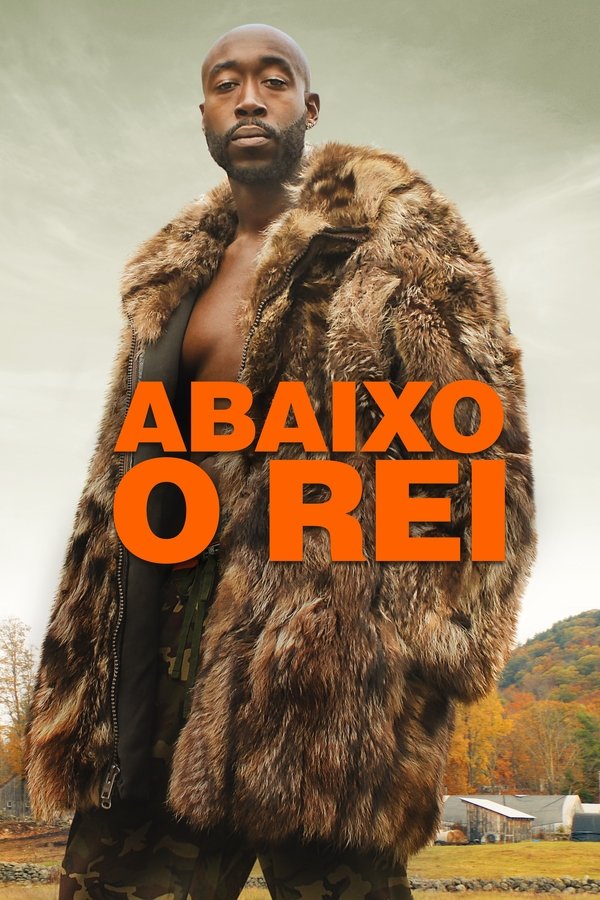 Capa de Abaixo o Rei